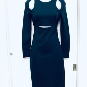 Alexander Wang bodycon dress NWT